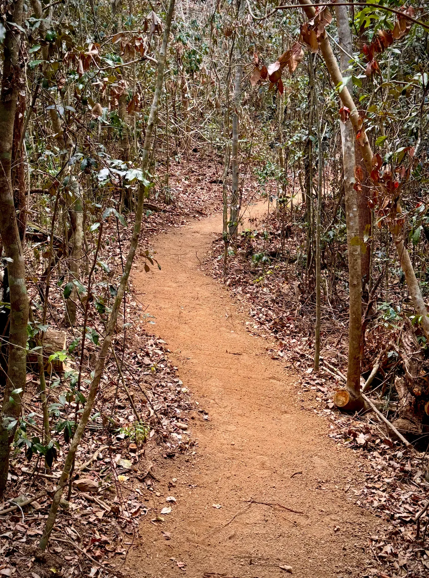 Adaptive mountain biking at Twin Creeks