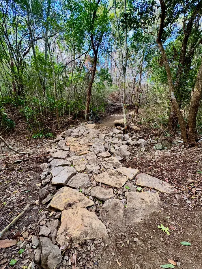 Trail construction