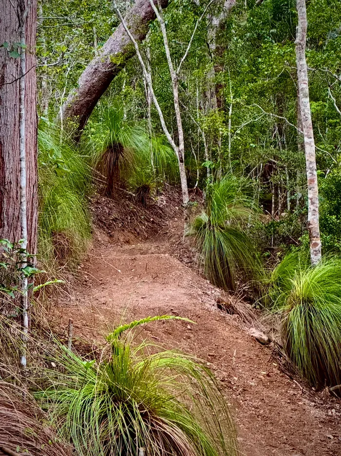 Trail construction