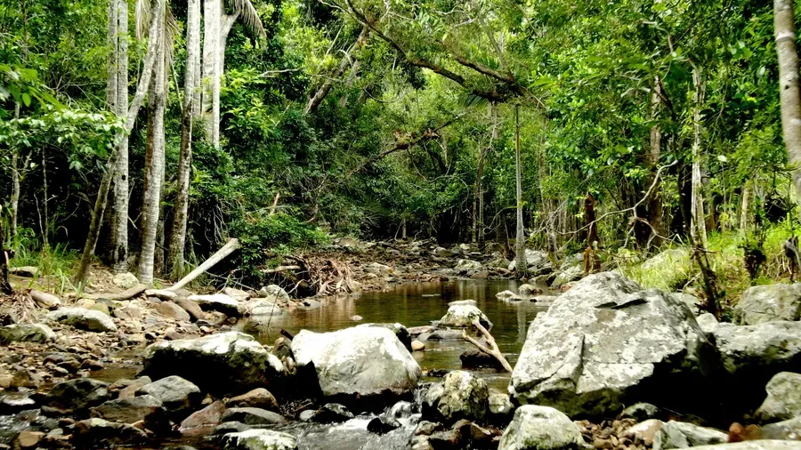 On the trails at Twin Creeks