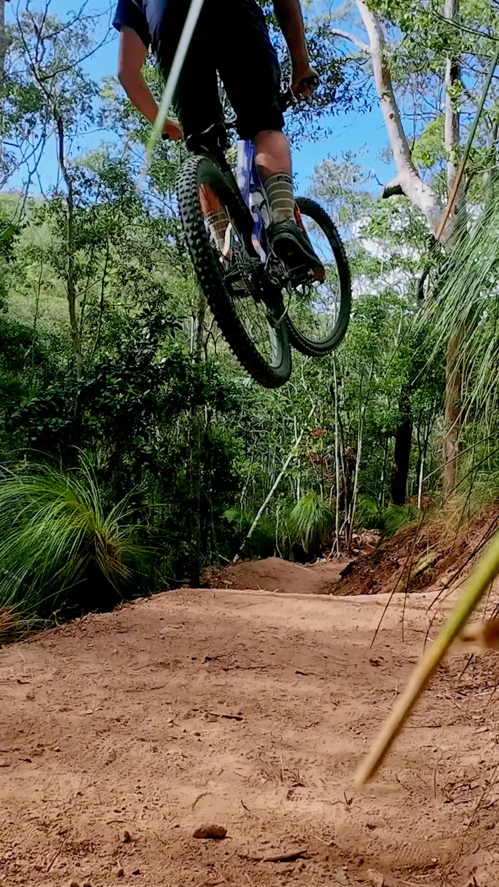 Rainforest tech